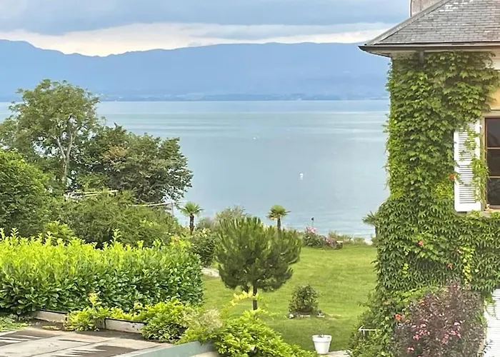 La Veranda De La Mouette